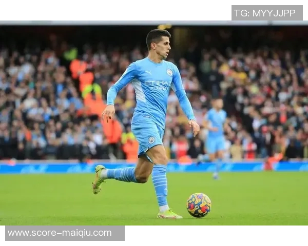 德国足球热情:从街头到世界杯的全民狂欢与文化传承 德国足球热情:从街头到世界杯的全民狂欢与文化传承